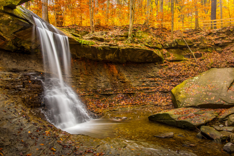 Fall Leaf Peeping in Ohio - Cutler Real Estate